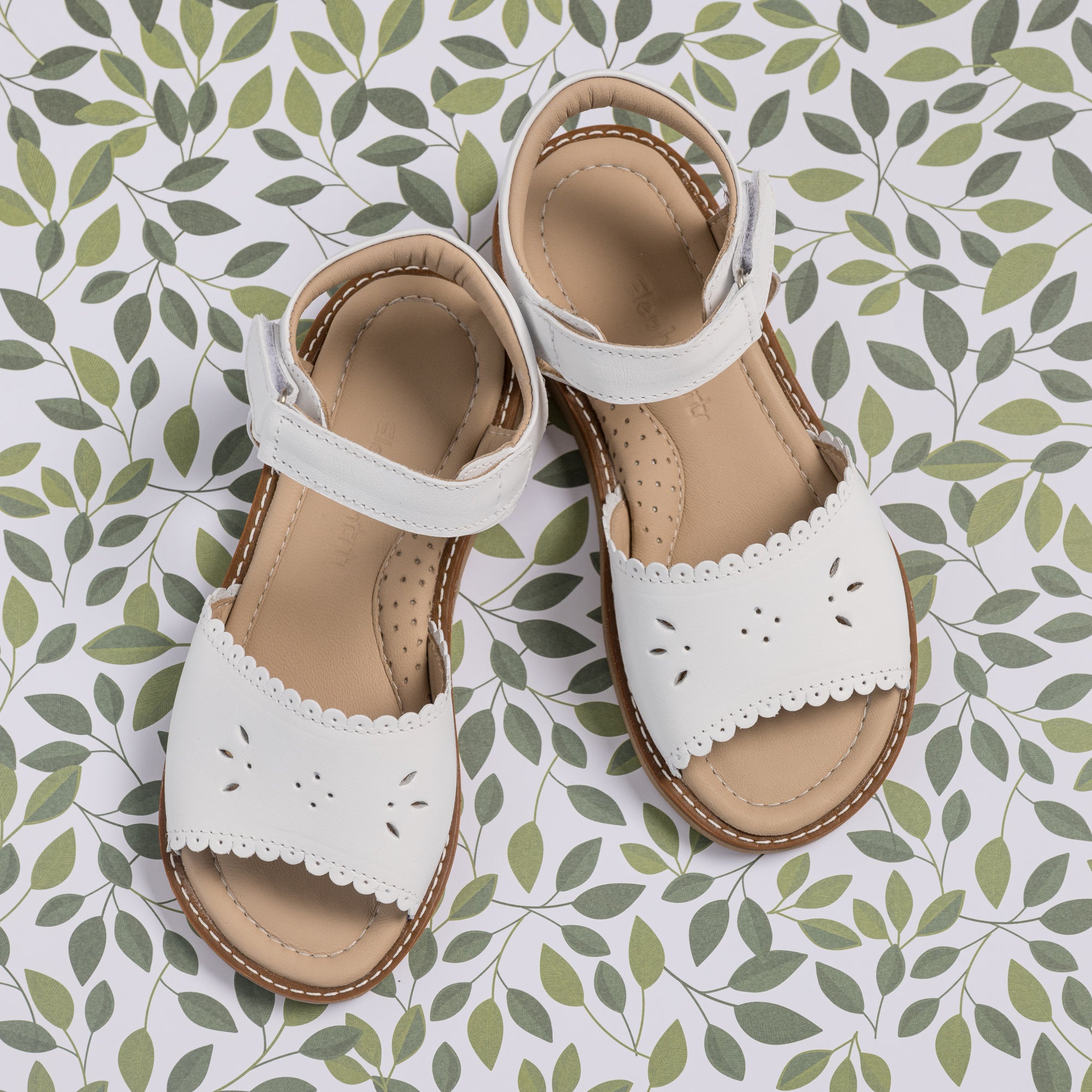 Classic Sandal with Scallop White